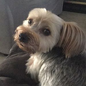 Meet your Posher, Michele